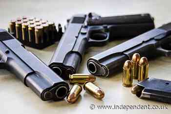 Fix gun licensing system to prevent further killings, inspectors say