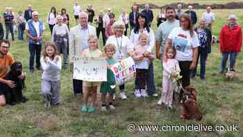 Sunniside locals object to plans for over 200 new homes amid wildlife, traffic, and infrastructure worries