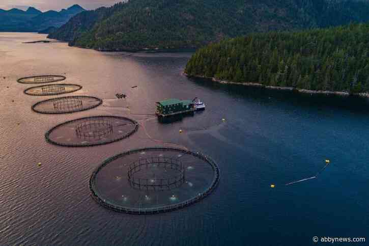 Advocates, industry looking for answers on 2029 fish farm ban amid Ottawa’s silence