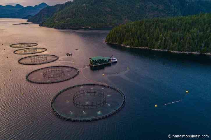 Advocates, industry looking for answers on 2029 fish farm ban amid Ottawa’s silence
