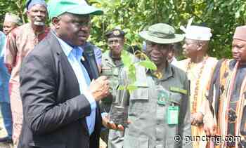 FRIN provides 5,000 seedlings to restore Oba Hills park
