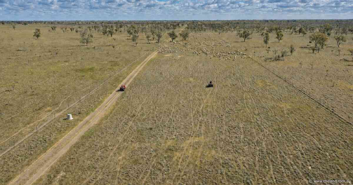 Significant investment in fencing, water, livestock-handling infrastructure