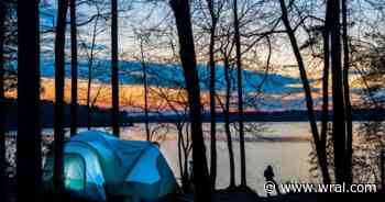 Reclaim your sanity: escape into the quiet canopy overhangs of the Uwharrie region