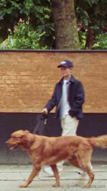 Like human, like dog. Meet the crew making every city walk better. #Shorts