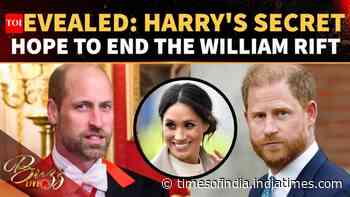 Can Harry Win William Back? New Report EXPOSES Royal Insider Sussexes Are Counting On