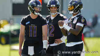 Dan Orlovsky does not hold back on expectations for Ravens