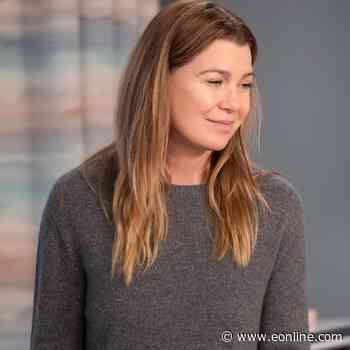 Ellen Pompeo Cast in New Medical Role on TV & It's Not Grey's Anatomy