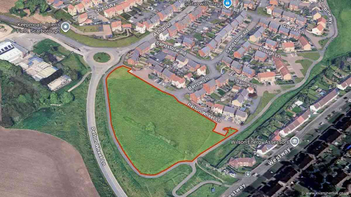 'Ridiculous care home plans for our very busy estate will destroy our only green space and make life unbearable'