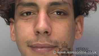 Man attacks housemate with bread knife in Swansea HMO after being disturbed in the bathroom