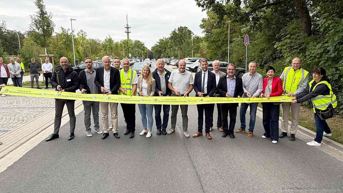 Mehr Licht und Grün: Wichtige Straße in Wolfsburg ist wieder frei
