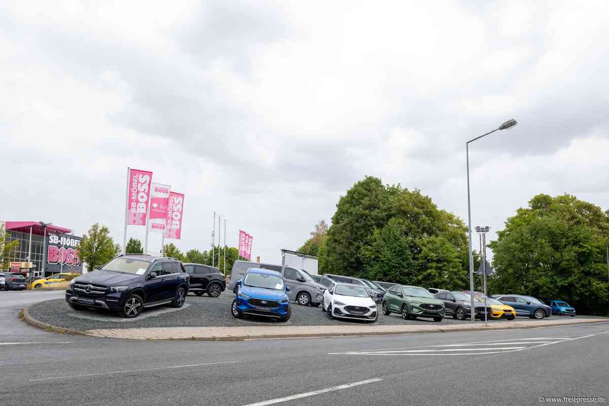 Plauener Autohaus will gefällte Bäume ersetzen