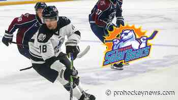 Solar Bears agree to terms with Walker