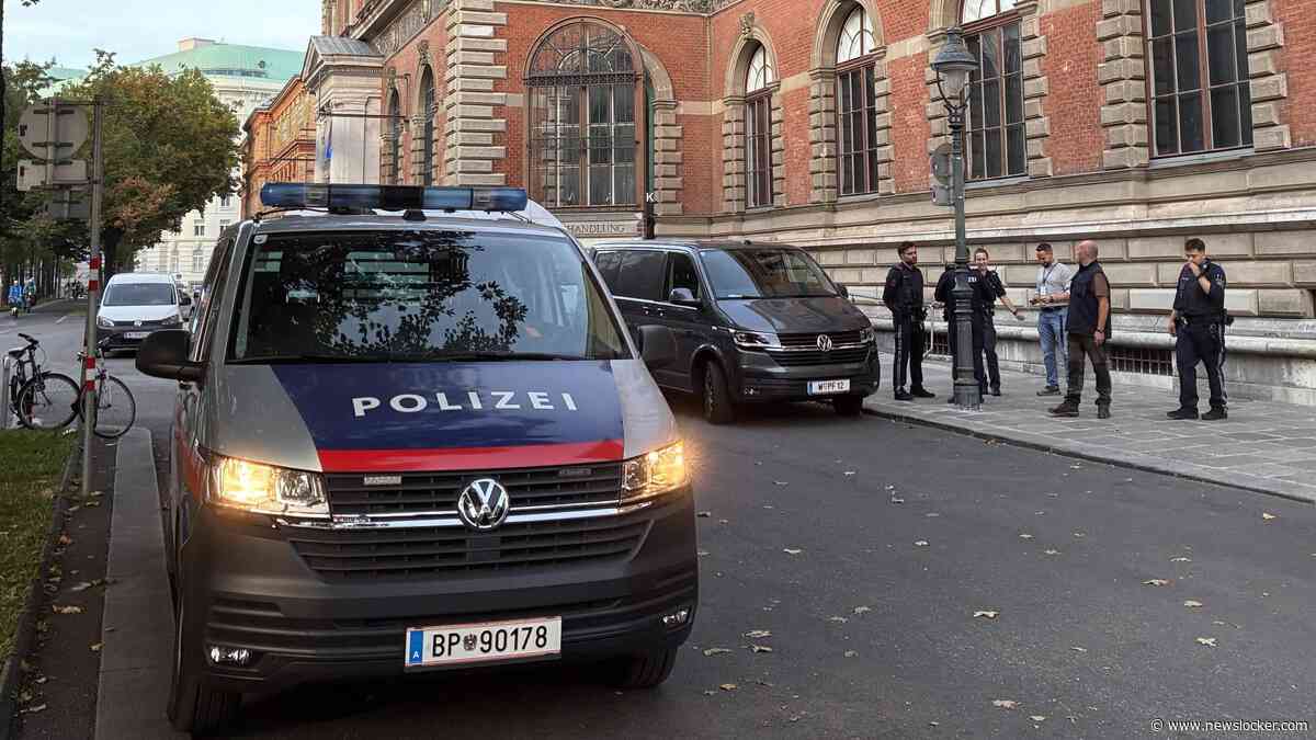 Kunstdieven slaan toe in museum Wenen: peperdure halsketting met 673 diamanten gestolen