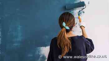 'I ditched white paint in my home for softer shade and will never look back'