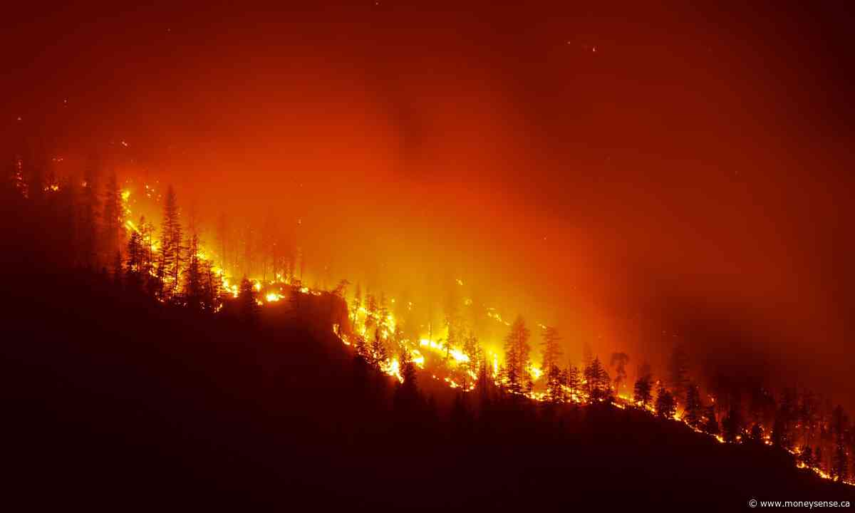 After a fire or flood, the financial fallout can be costly