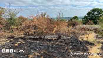 Two teens arrested over country park wildfires