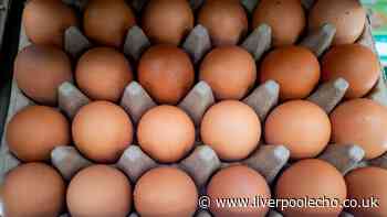 Doctor shares five key salmonella symptoms after egg outbreak