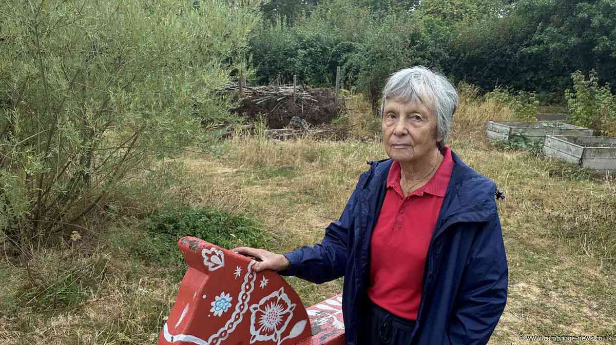 Cambridge garden plagued by 'large groups of youths' at heart of sculpture row