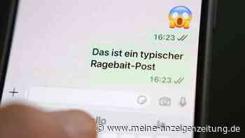 Jugendwort 2026: Das bedeuten die Favoriten