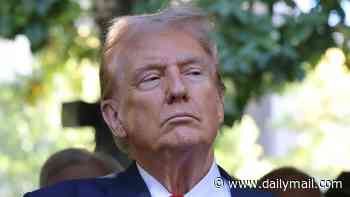 Trump backed out of attending 25th anniversary of 9/11 at ground zero because he can't give speech, report says