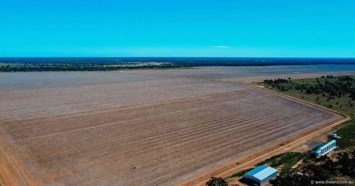 Yahgunya Cotton delivers 2439 acres of laser levelled cultivation country