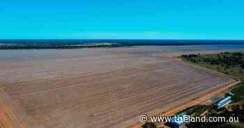 Yahgunya Cotton delivers 2439 acres of laser levelled cultivation country