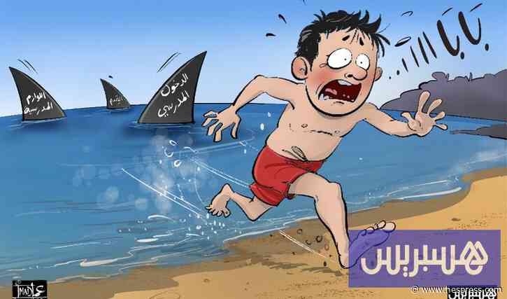 خبراء يرسمون طريق التلاميذ من فوضى الصيف إلى انضباط المدرسة