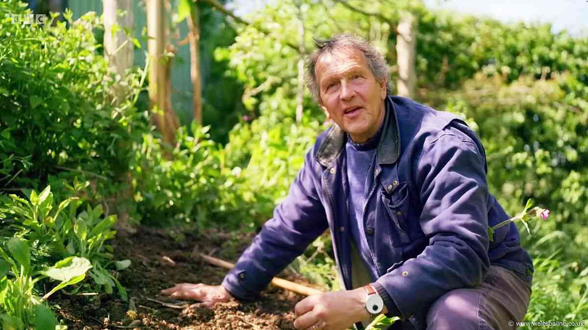 Monty Don's vital August tip on how to prep plants now for next summer