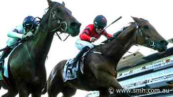Racing NSW defends stand on Metropolitan despite loss of group 1 status