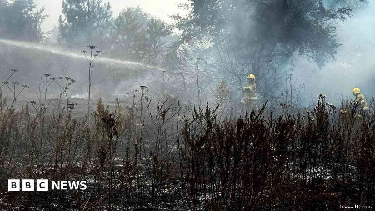 Crews say field fire 'started by glass bottles'