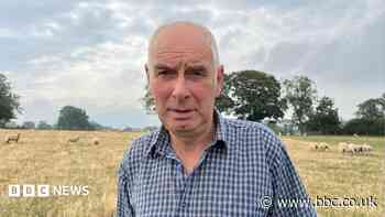 Bluetongue fears 'on par with foot and mouth'