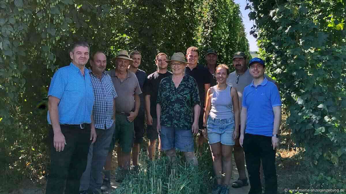 Hopfenuntersaaten können Boden und Grundwasser schützen – doch Hitze erschwert das Anpflanzen