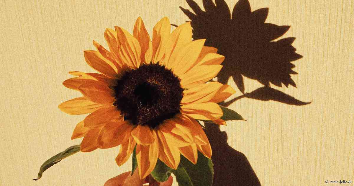 Sonnenblumen-Nägel sind die schönste Übergangs-Maniküre zum Herbst