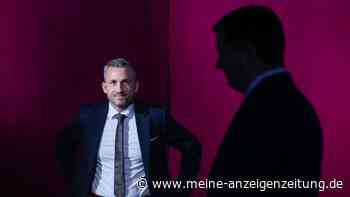Landtagswahl in Sachsen-Anhalt: Umfrage ergibt keine absolute Mehrheit für die AfD