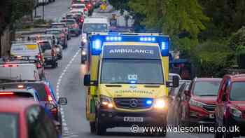 Rule about letting an ambulance past means £1,000 fine - if driver gets it wrong