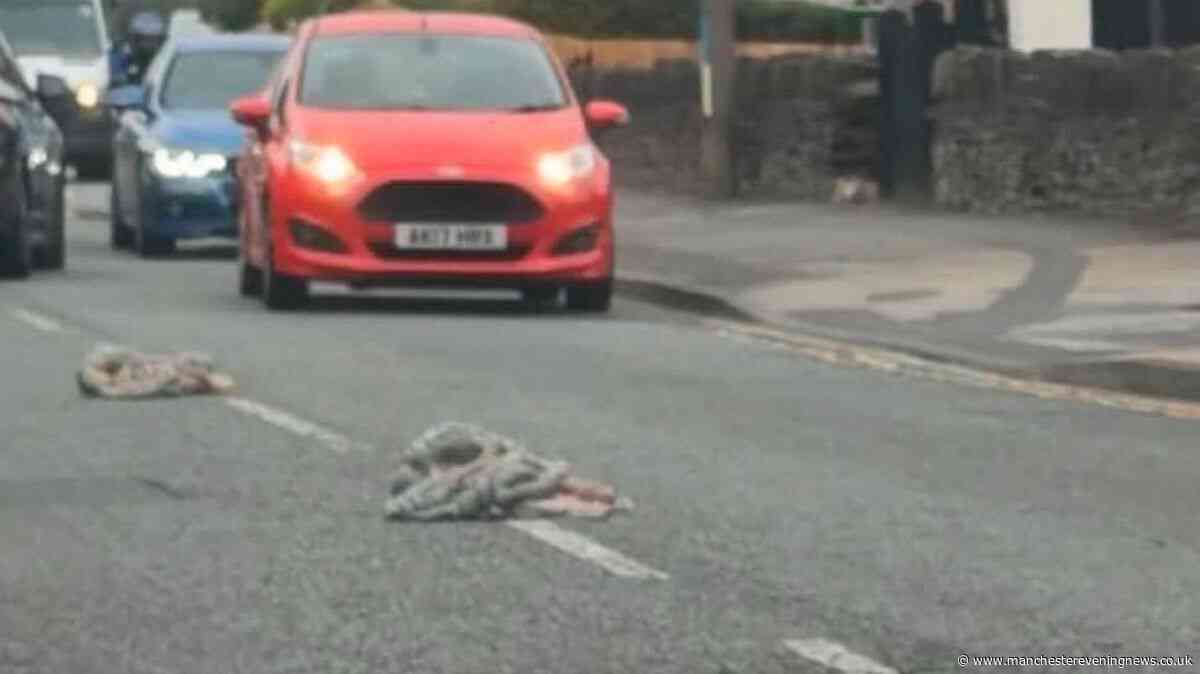 Residents 'traumatised' after van spills 'decaying pig guts' across M62 and street