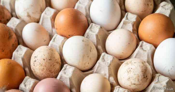 Number of UK cases of salmonella nearing 500
