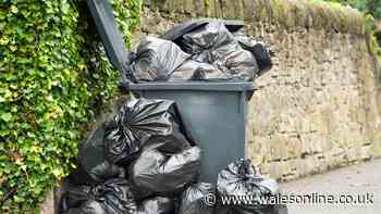 Binman confirms where households should really be putting black bin bags in recycling