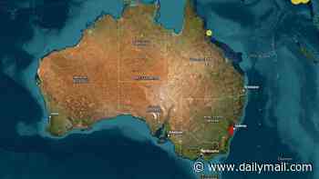 Sydney is rocked by an earthquake - as hundreds report feeling the ground shake
