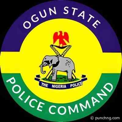 Police probe farmland destruction, land grabbing claims in Ogun