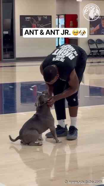 Earlier this summer when Ant Jr. tried taking the court with Ant 😂 (via: @timberwolves )