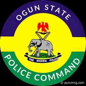 Police probe farmland destruction, land grabbing claims in Ogun