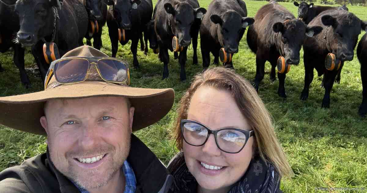 How these farmers cut their work hours down and boosted capacity by 30pc