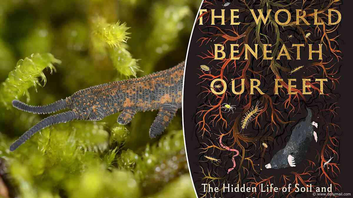What do a 100 million-year-old feminist, a 2 ft long worm and a glue shooting sniper all have in common? They live in your soil