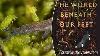 What do a 100 million-year-old feminist, a 2 ft long worm and a glue shooting sniper all have in common? They live in your soil
