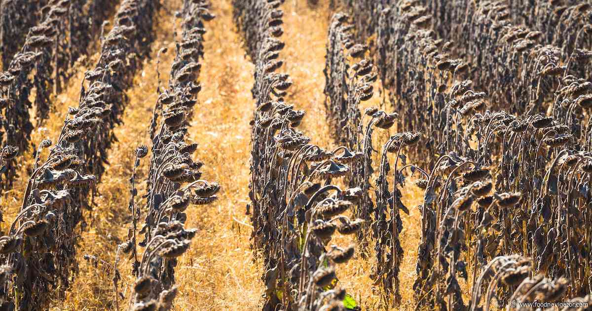 Climate change is an existential threat to food