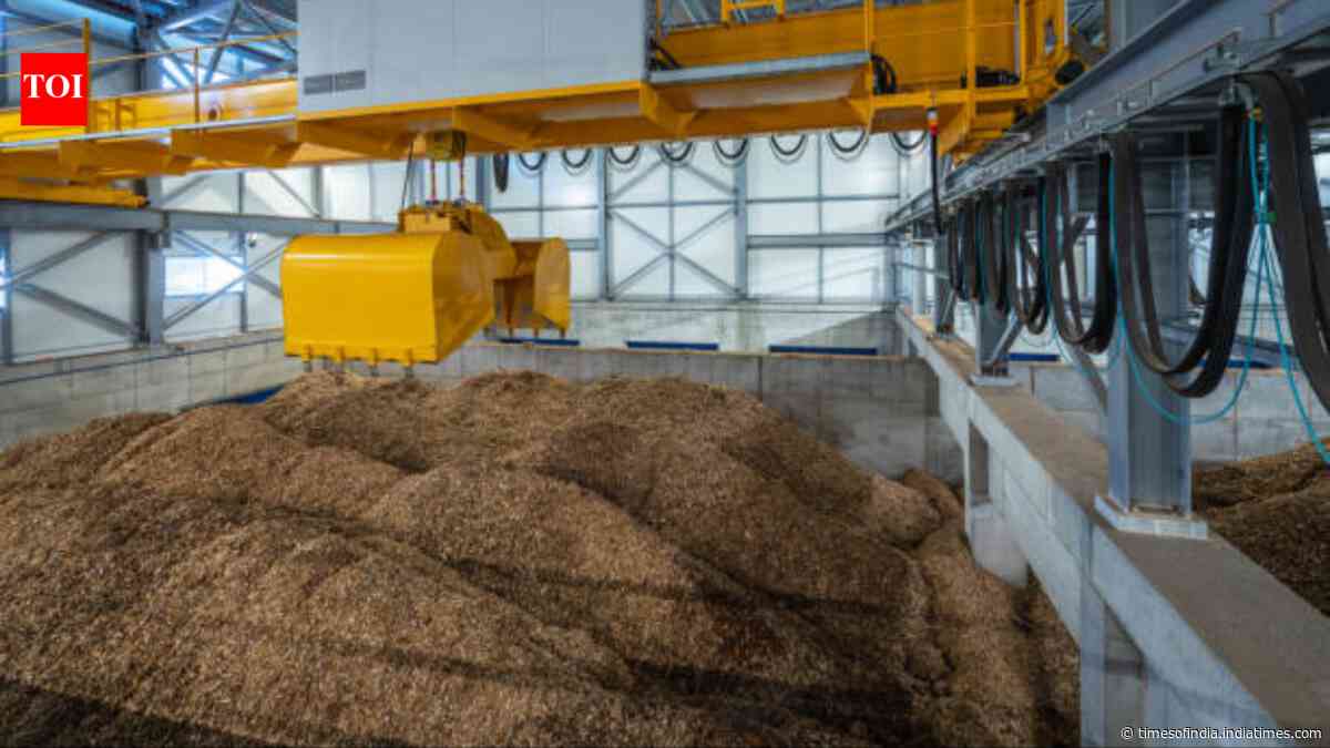 Scientists turn wood waste into foam that replaces plastic and decomposes in soil within months