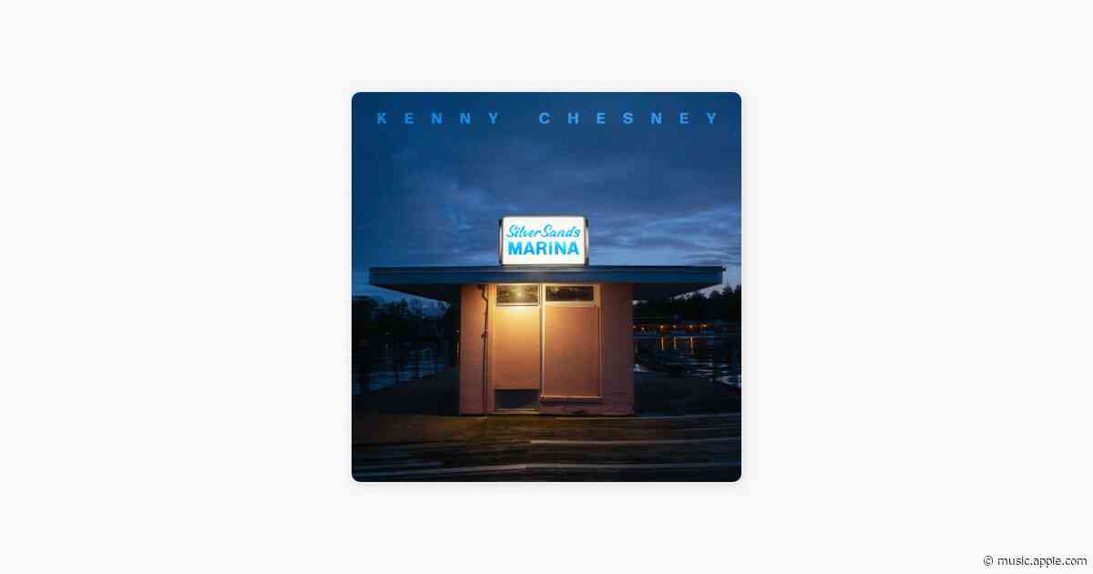 Goldfish (feat. Lily Meola) - Kenny Chesney