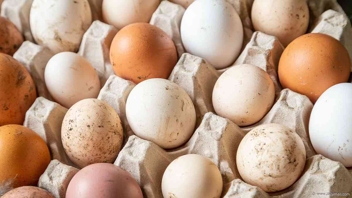 Another Briton dies in growing salmonella outbreak - almost 500 Britons now sickened by infection linked to imported eggs