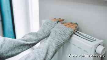 '10 minute hand test' could reveal 'hidden' reason behind high energy bills